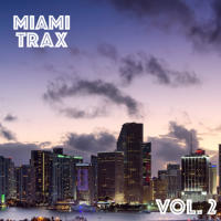 Various Artists - Miami Trax Vol. 2